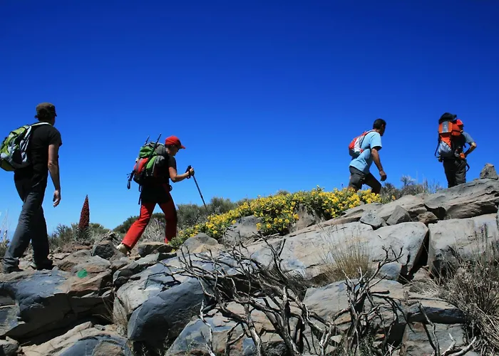 Palms2beach - 200m Met Airco En Wifi Apartment