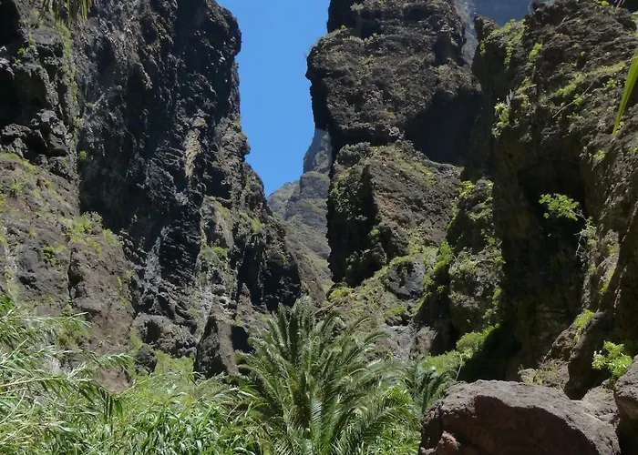 Palms2beach - 200m Met Airco En Wifi *